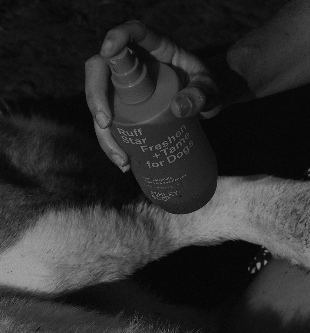 Ruff Star Freshen & Tame for Dogs