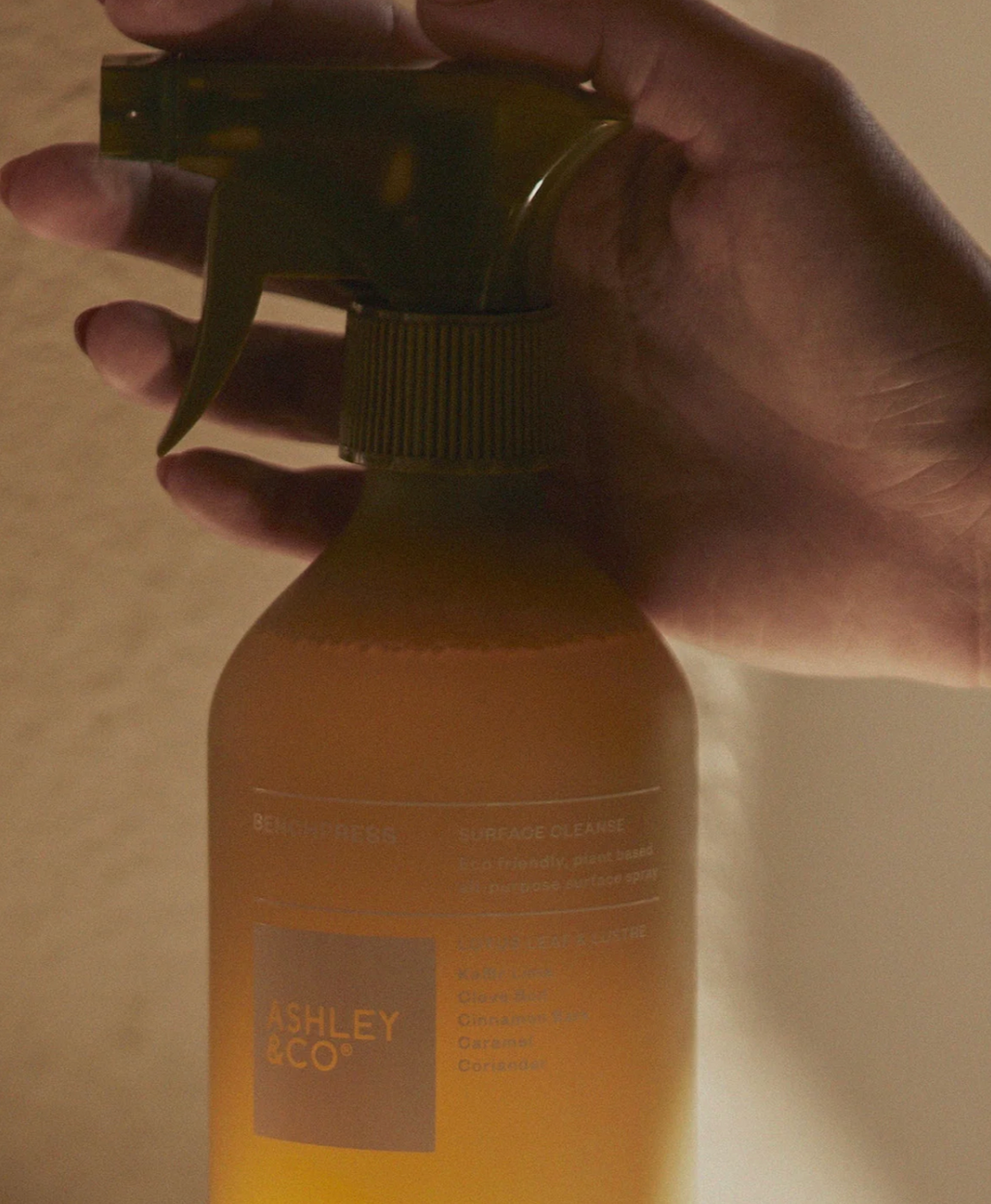 Benchpress Surface Cleanse Spray