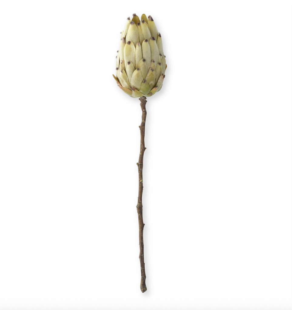 Flocked King Protea Stem