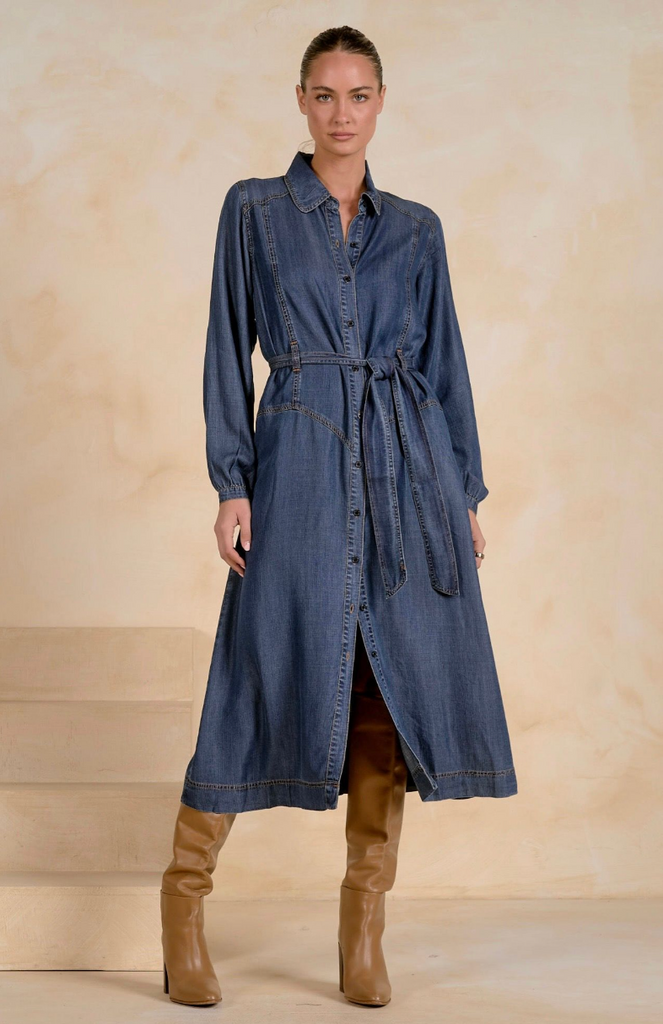 Denim Maxi Dress
