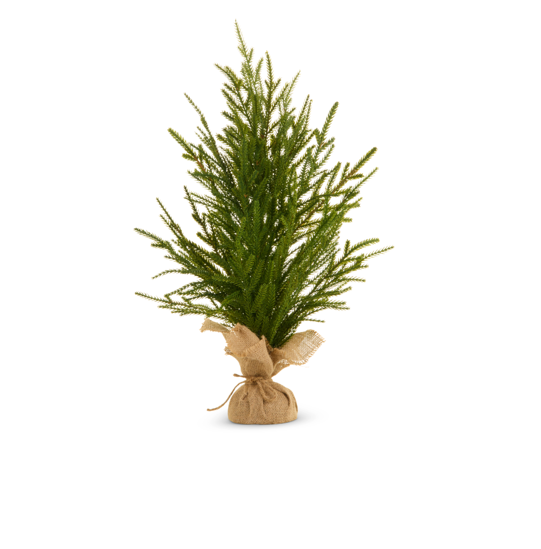Potted Norfolk Pine Tree in Burlap Bag