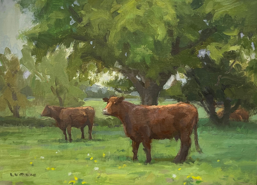 Under The Gentle Rain