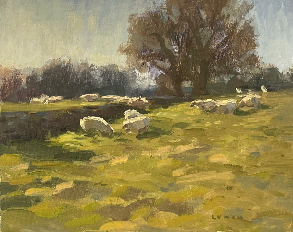 West England Pastures