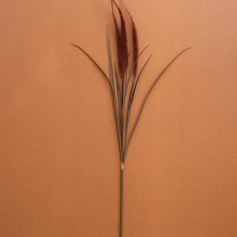 Artificial Agave Spray with 3 Foxtail