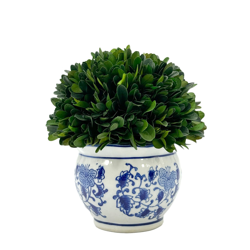 Boxwood Ball in Blue & White Ceramic Pot