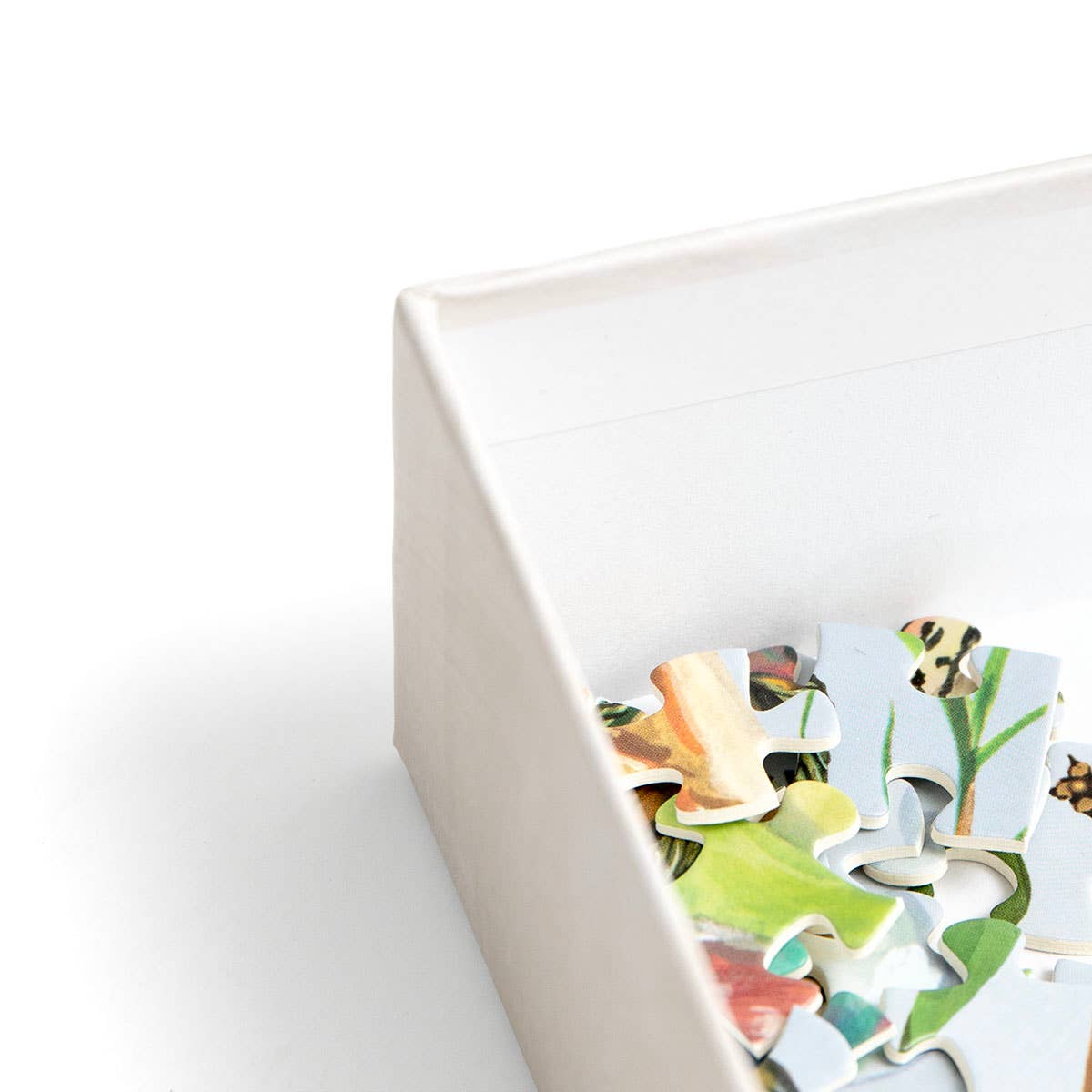 Freshwater Fish Jigsaw Puzzle