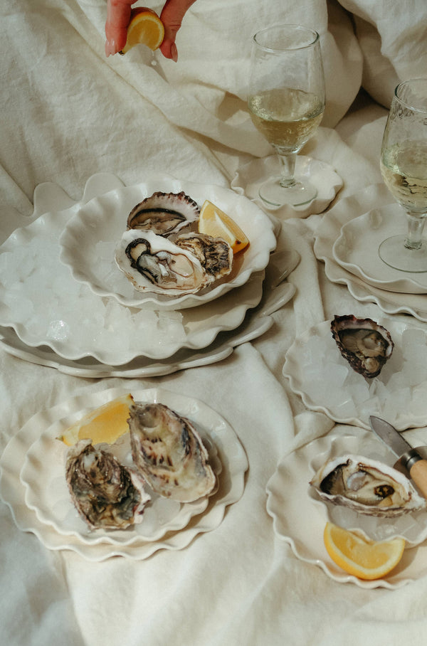 Calypso Scalloped Dinner Plate