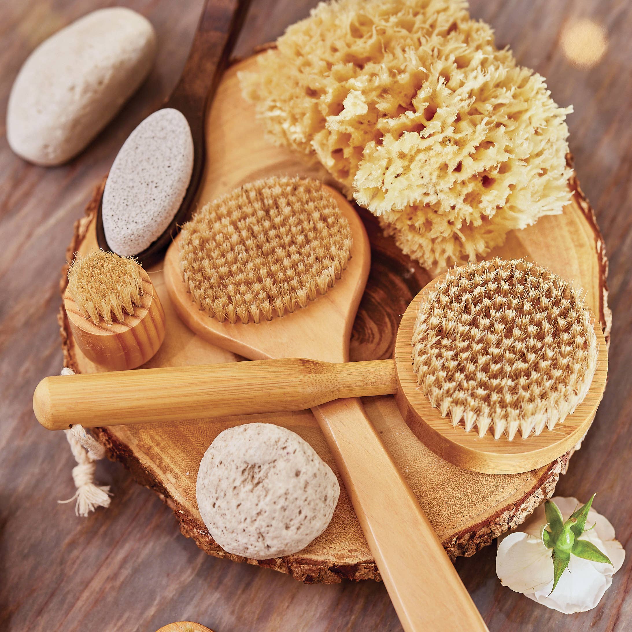 Bath Sea Sponge Gift Box