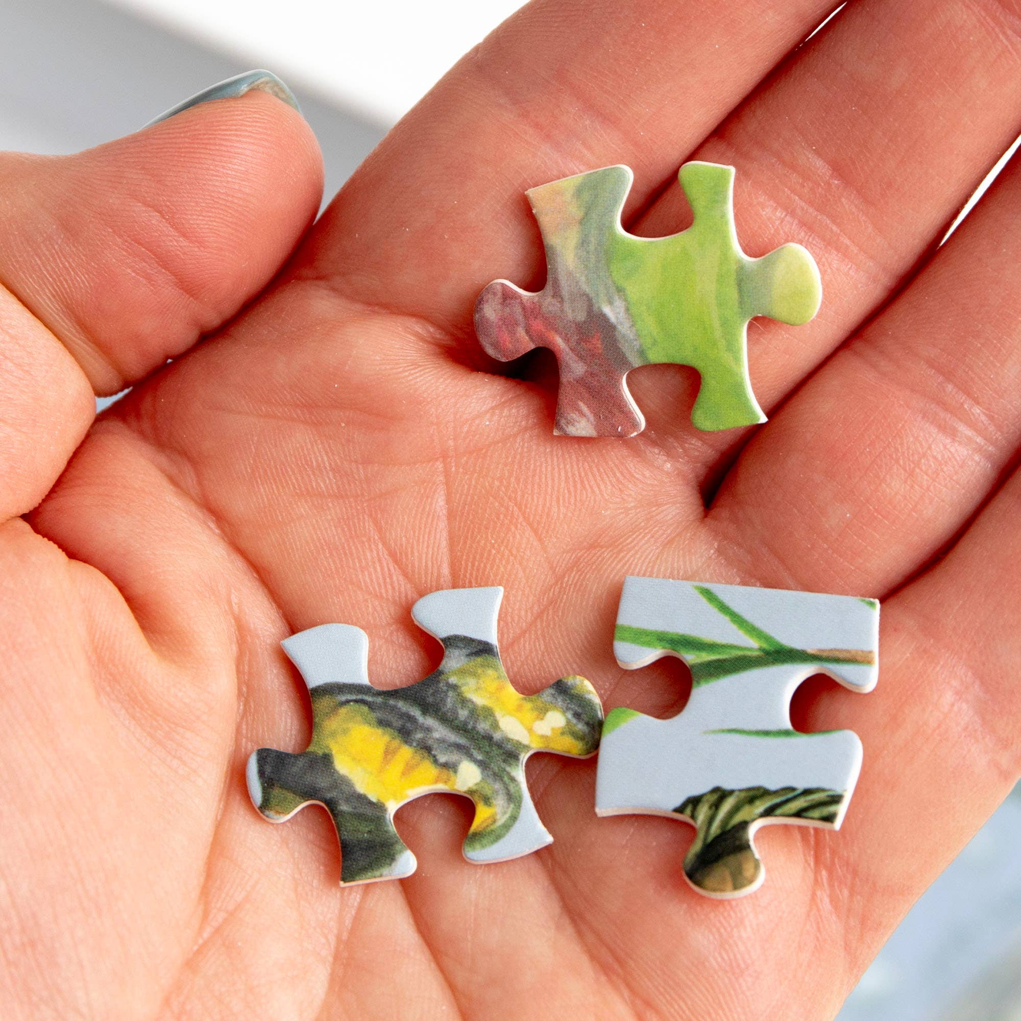 Freshwater Fish Jigsaw Puzzle