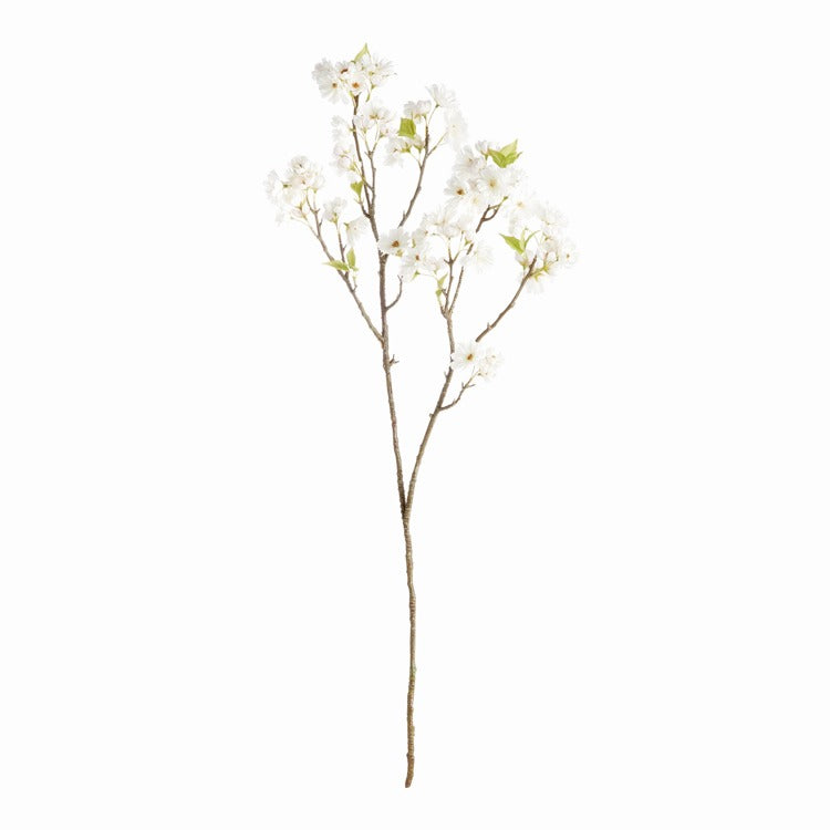 Double Cherry Blossom Branch