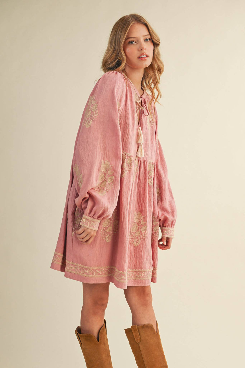 Embroidered Long Puff Sleeve Mini Dress