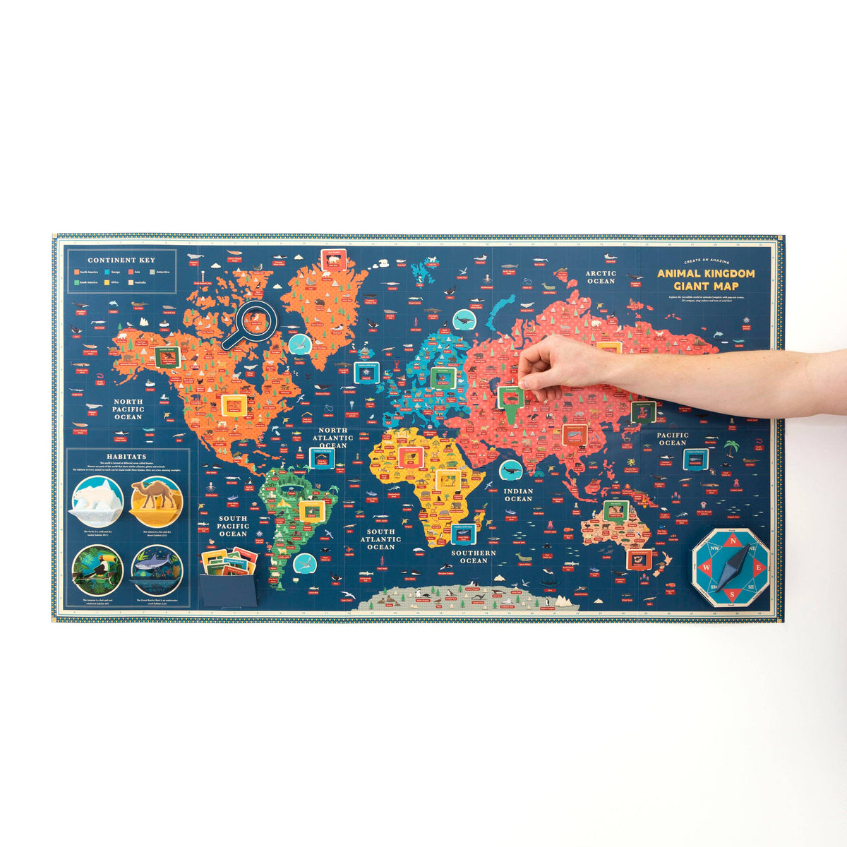 Anima Map Create An Amazing Animal Kingdom Giant Map – The Fox Shop and Market