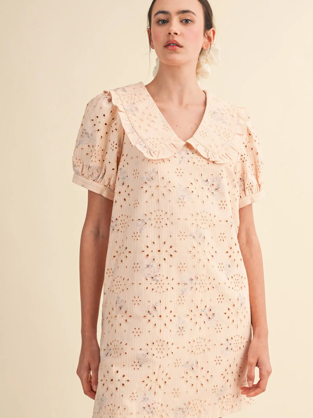 Floral Eyelet Striped Mini Dress