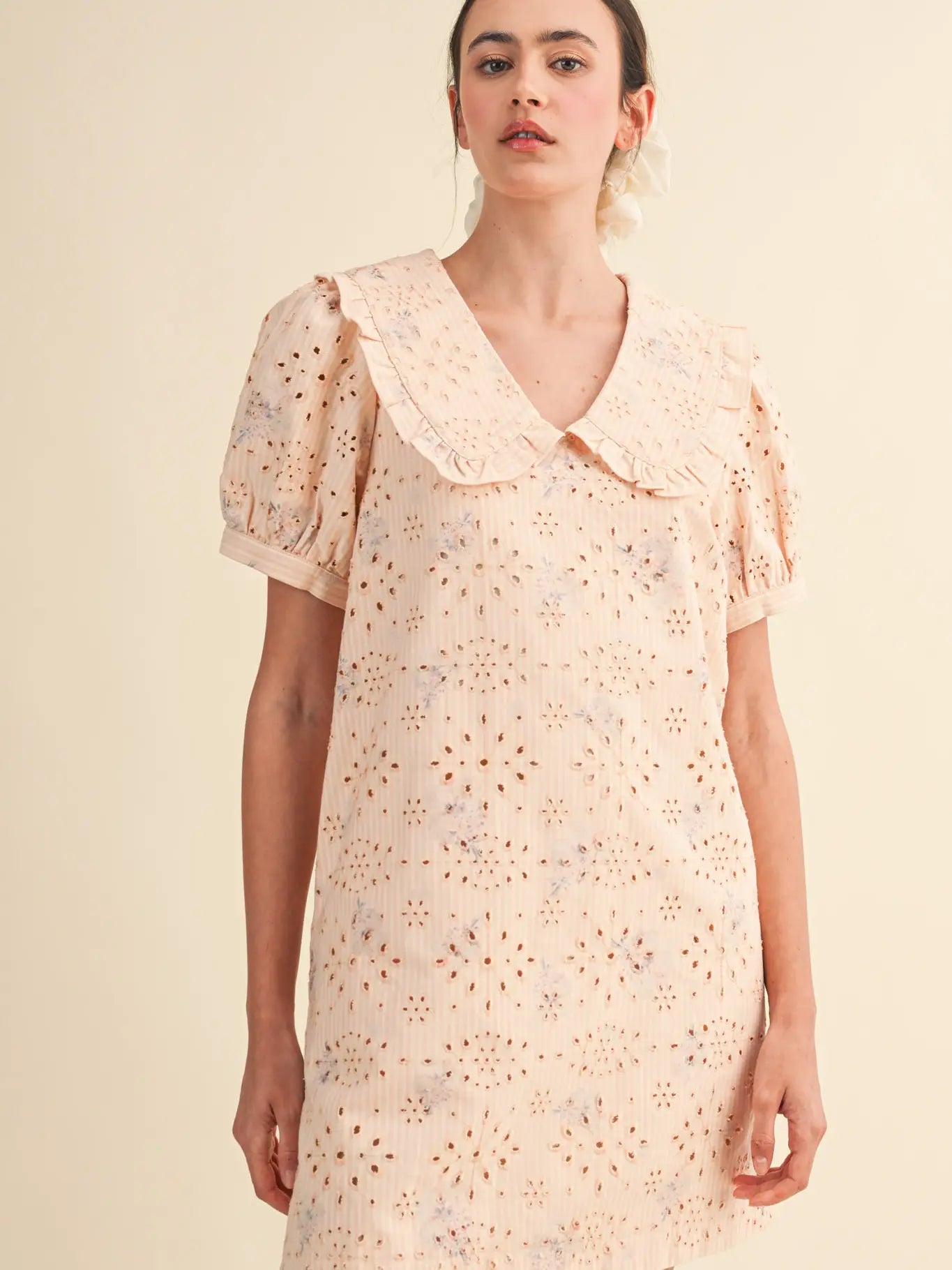 Floral Eyelet Striped Mini Dress