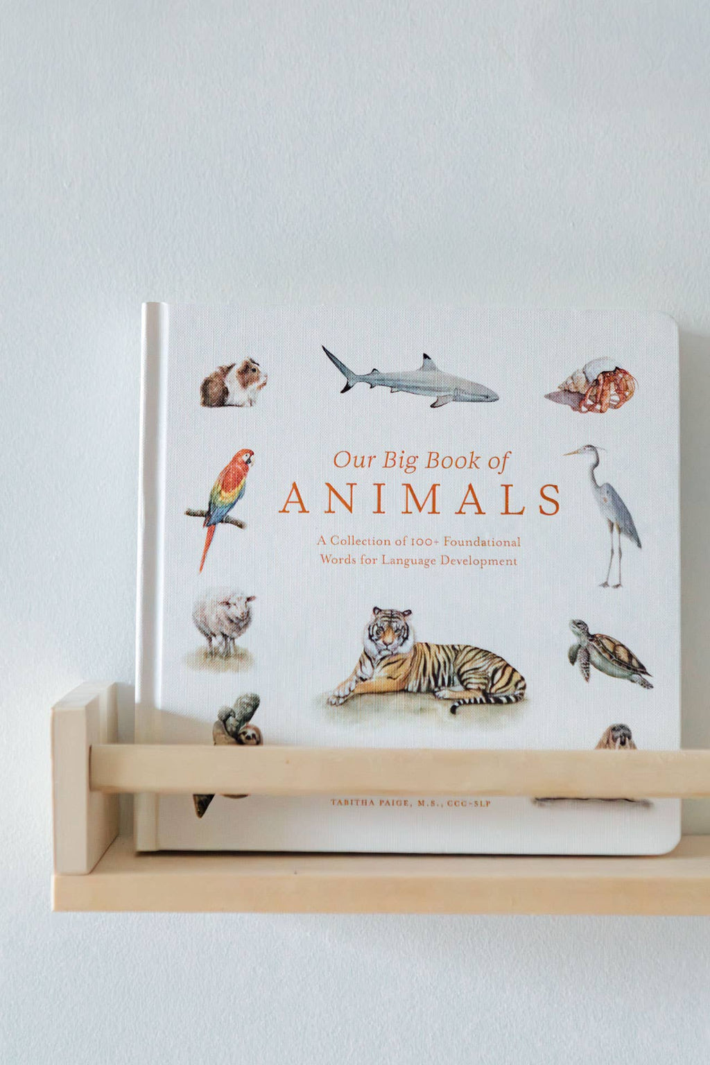 Our Big Book of Animals Board Book