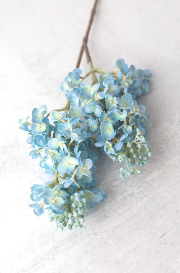 Blue Lilacs