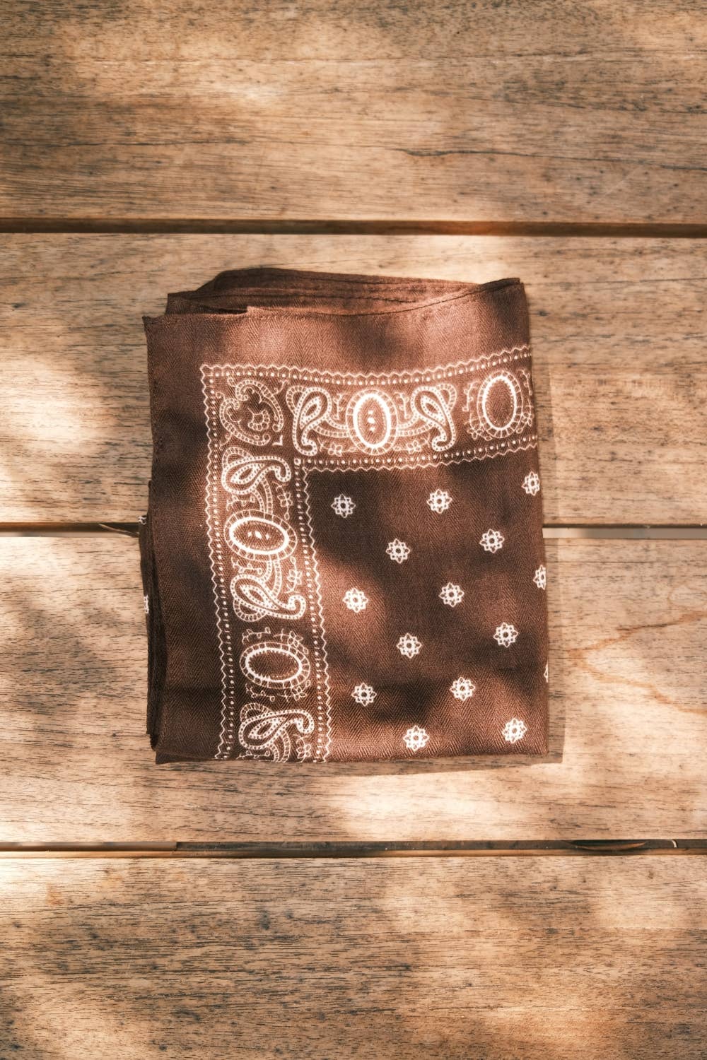 Paisley Border Square Scarf