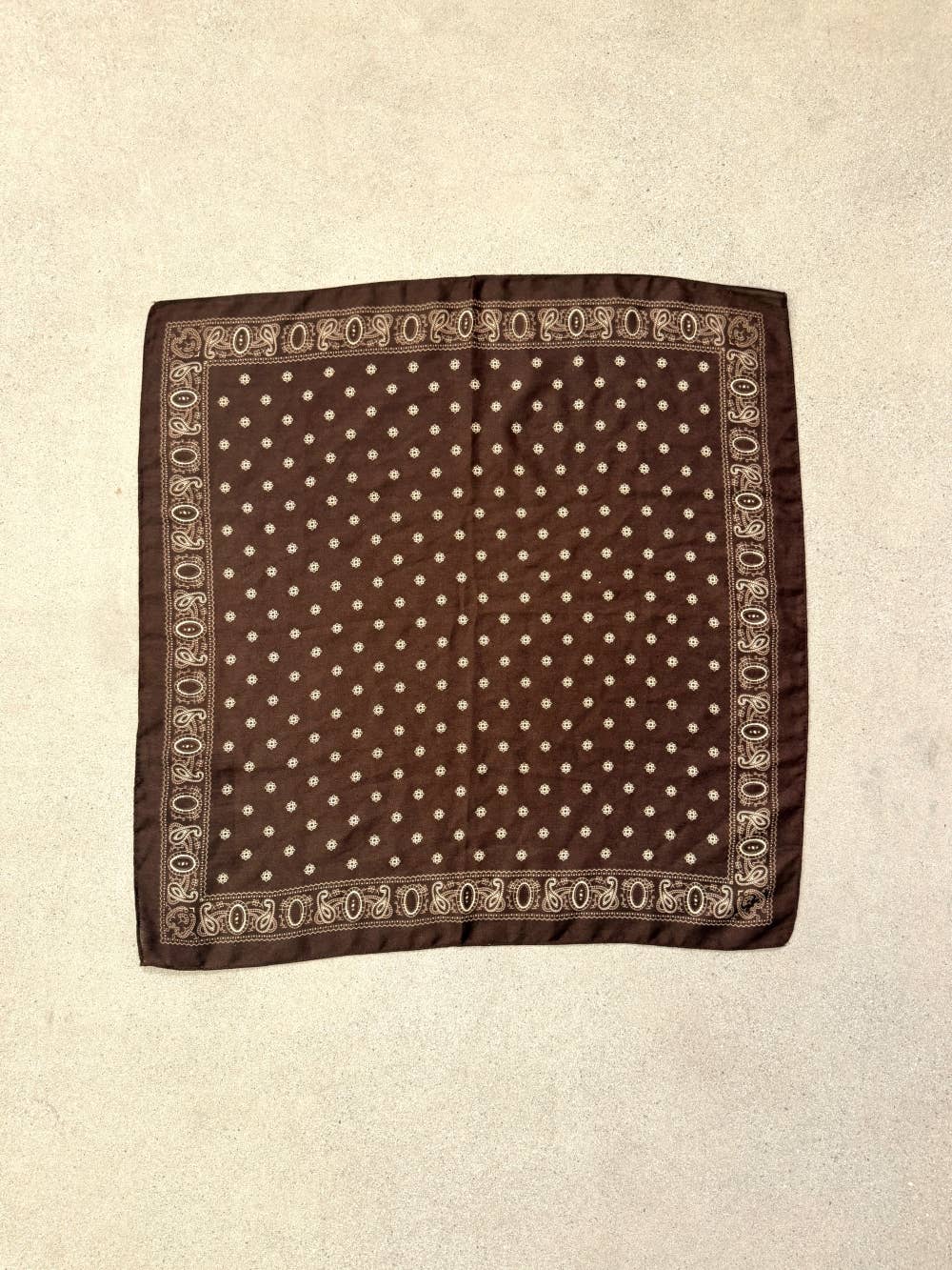 Paisley Border Square Scarf