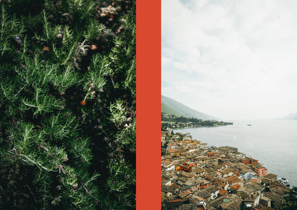 La Nostra Cucina Povera – Everyday Italian Eats