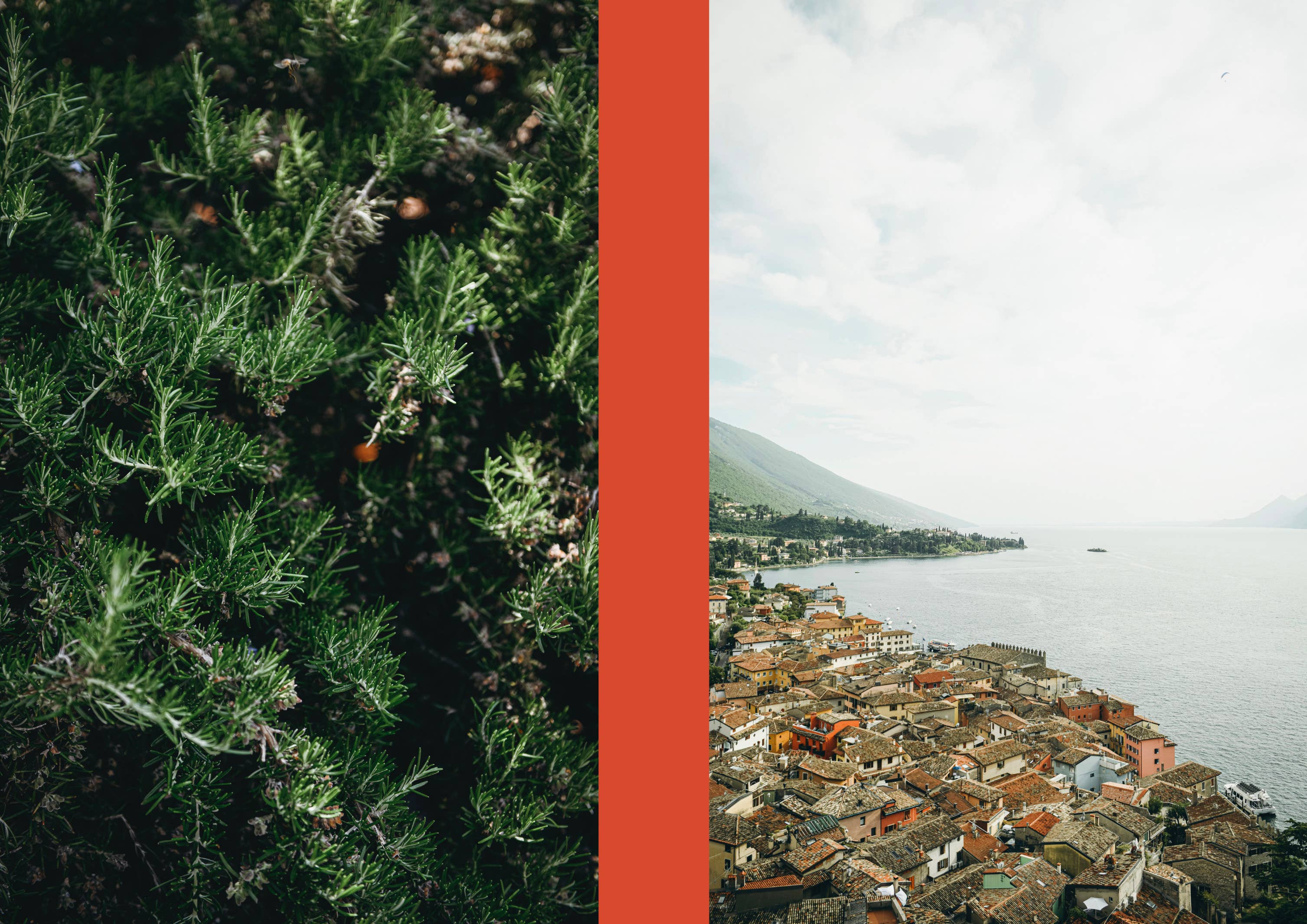 La Nostra Cucina Povera – Everyday Italian Eats