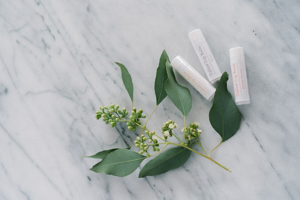 Tallow Lip Balm