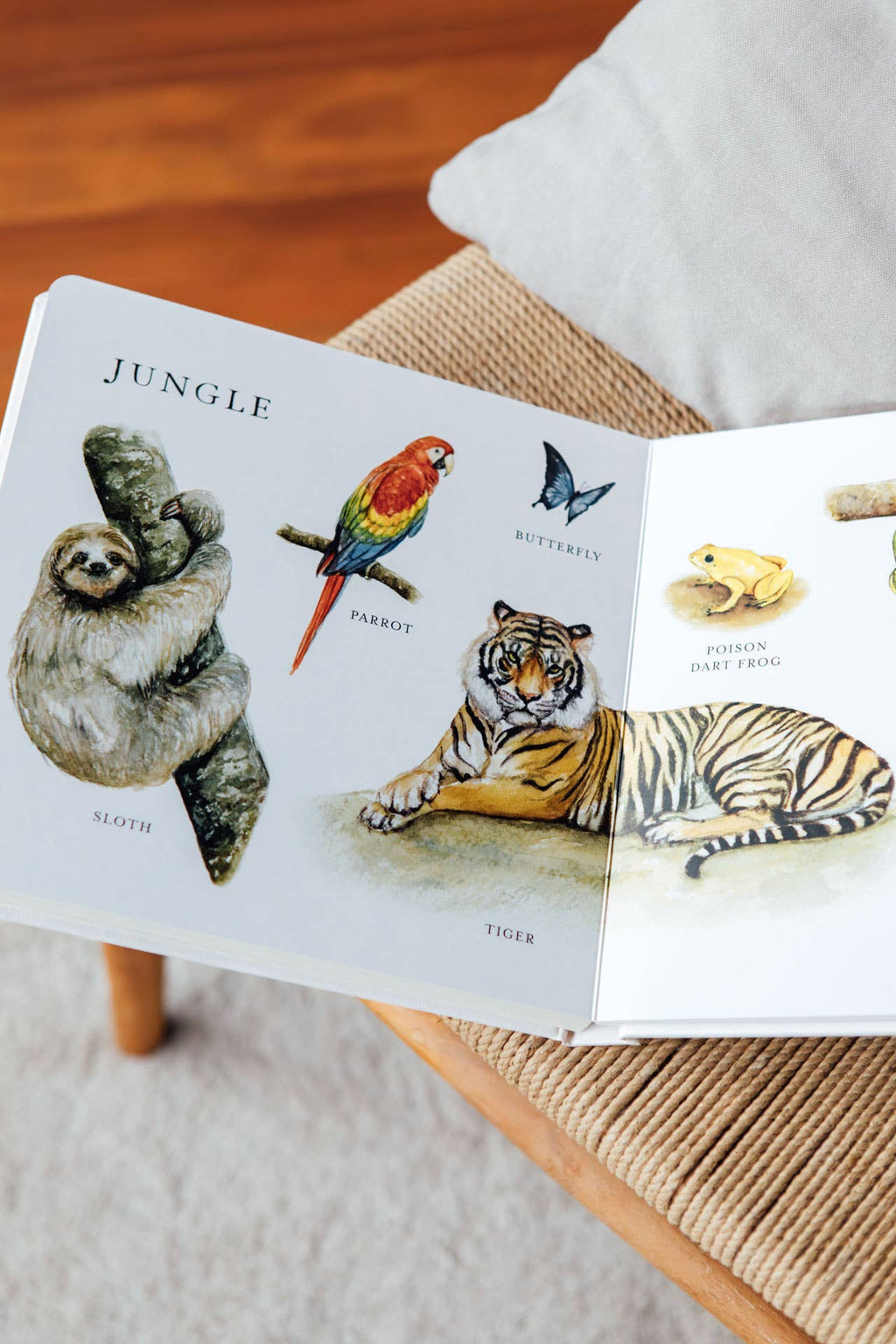Our Big Book of Animals Board Book