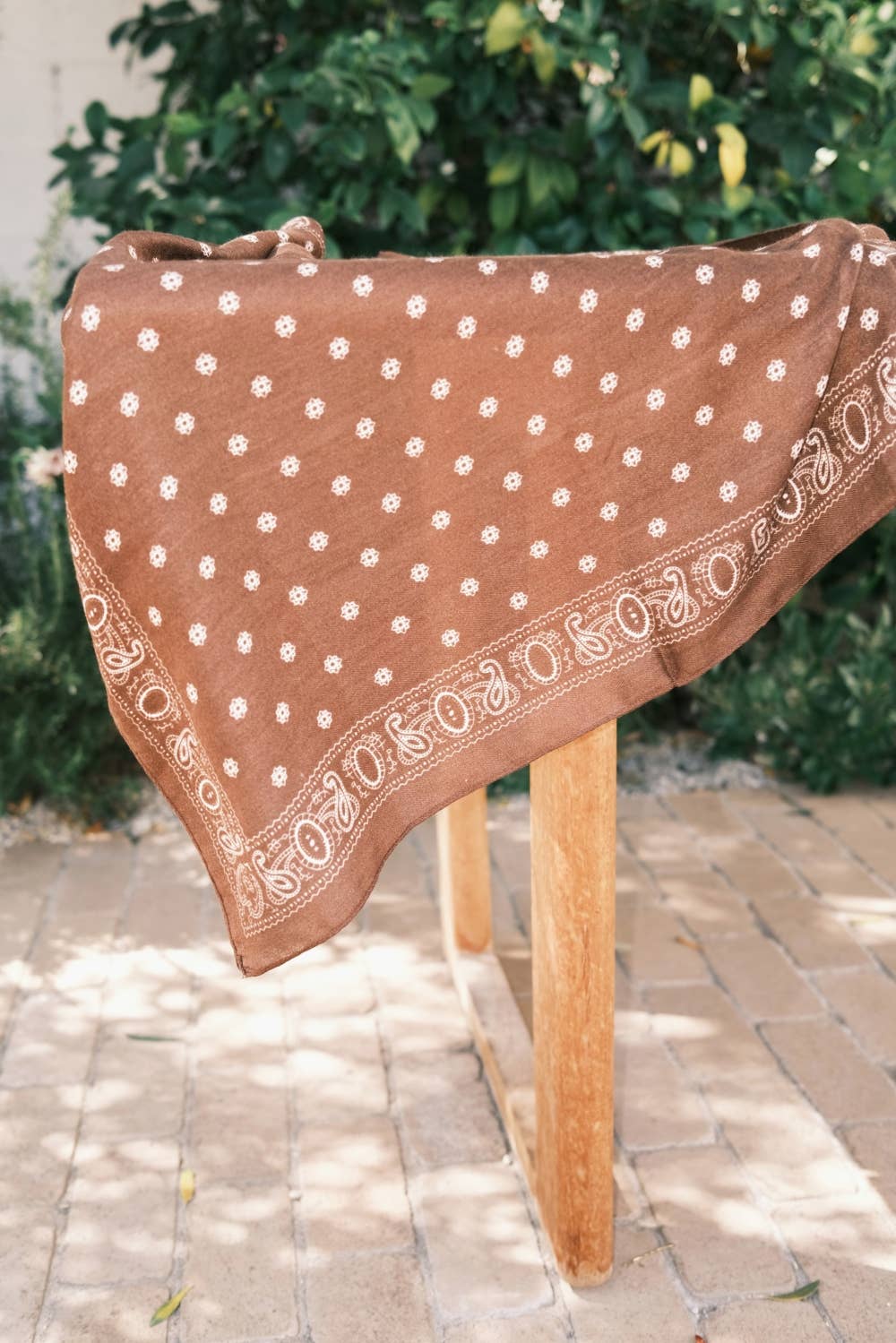 Paisley Border Square Scarf