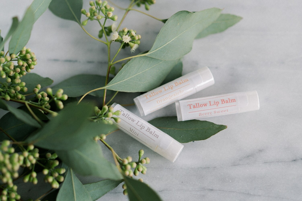 Tallow Lip Balm