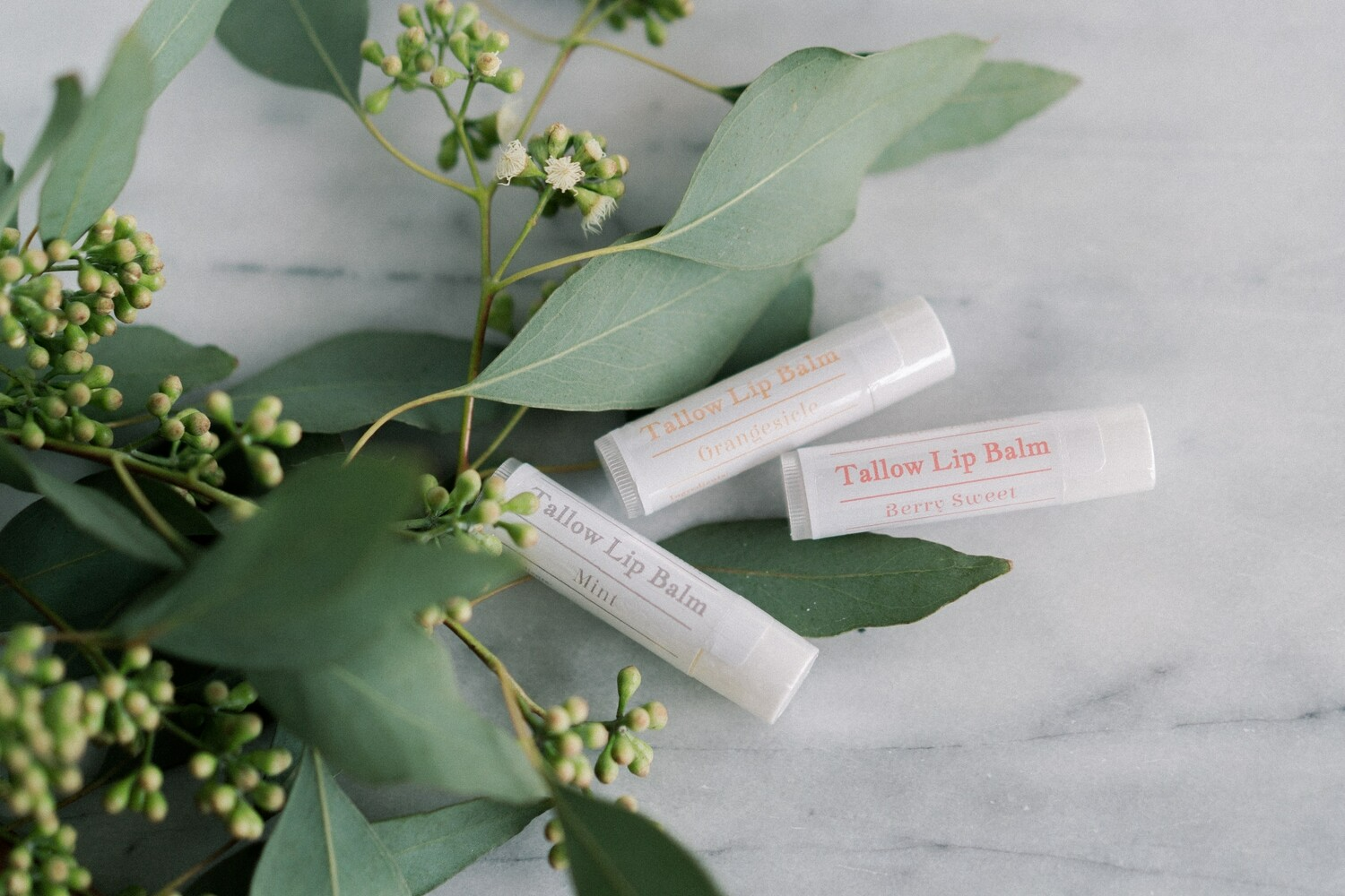 Tallow Lip Balm