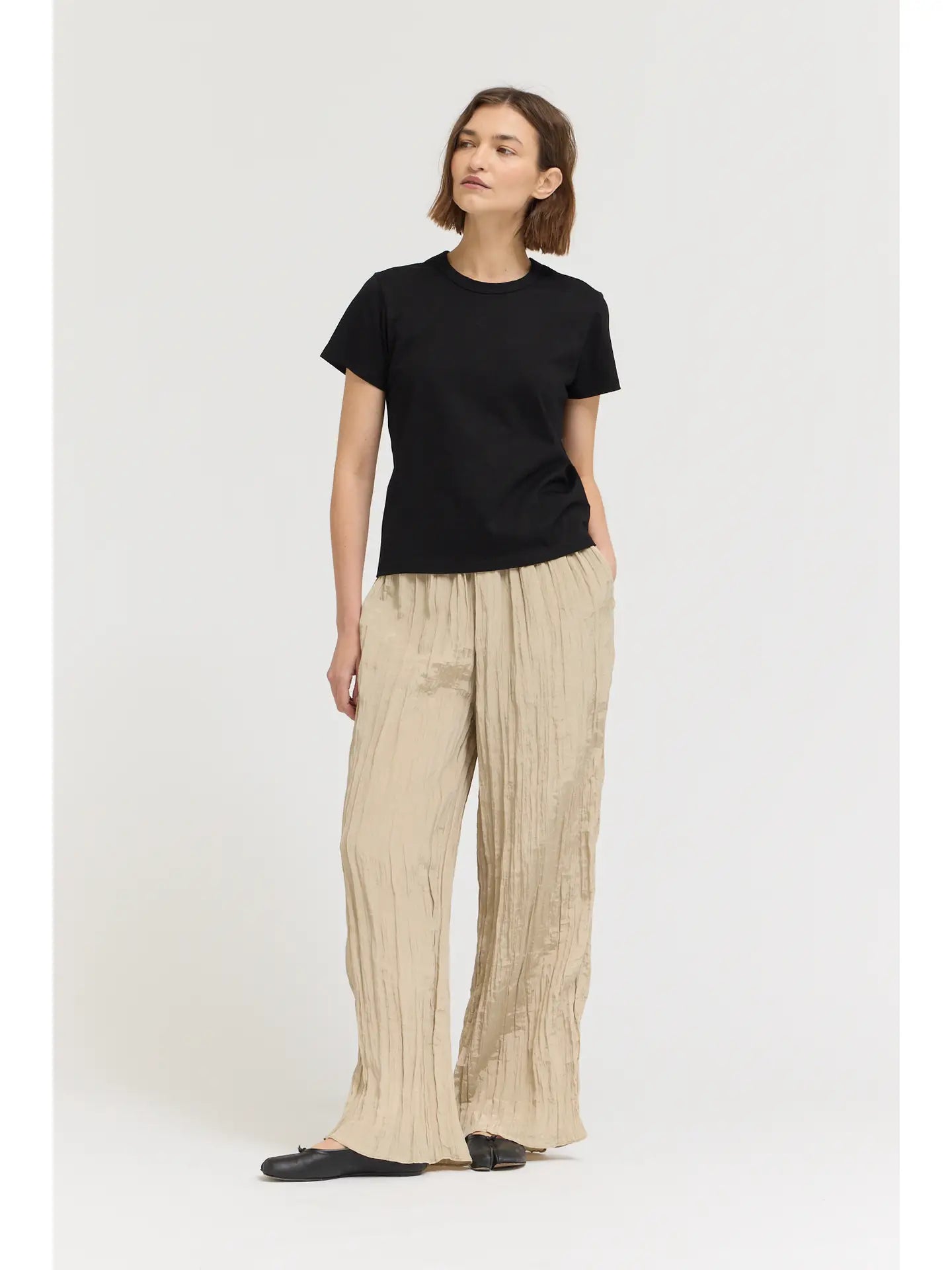 Standard Fit Cotton T Shirt