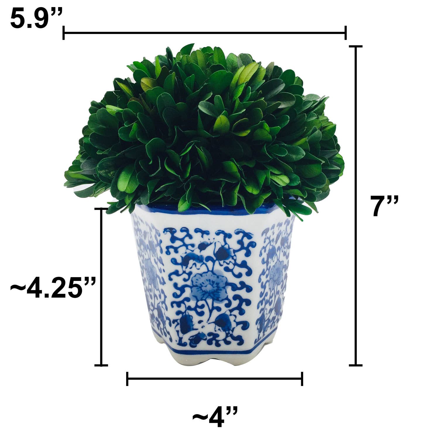 Boxwood Ball Topiary in Hexagon Blue & White Ceramic Pot