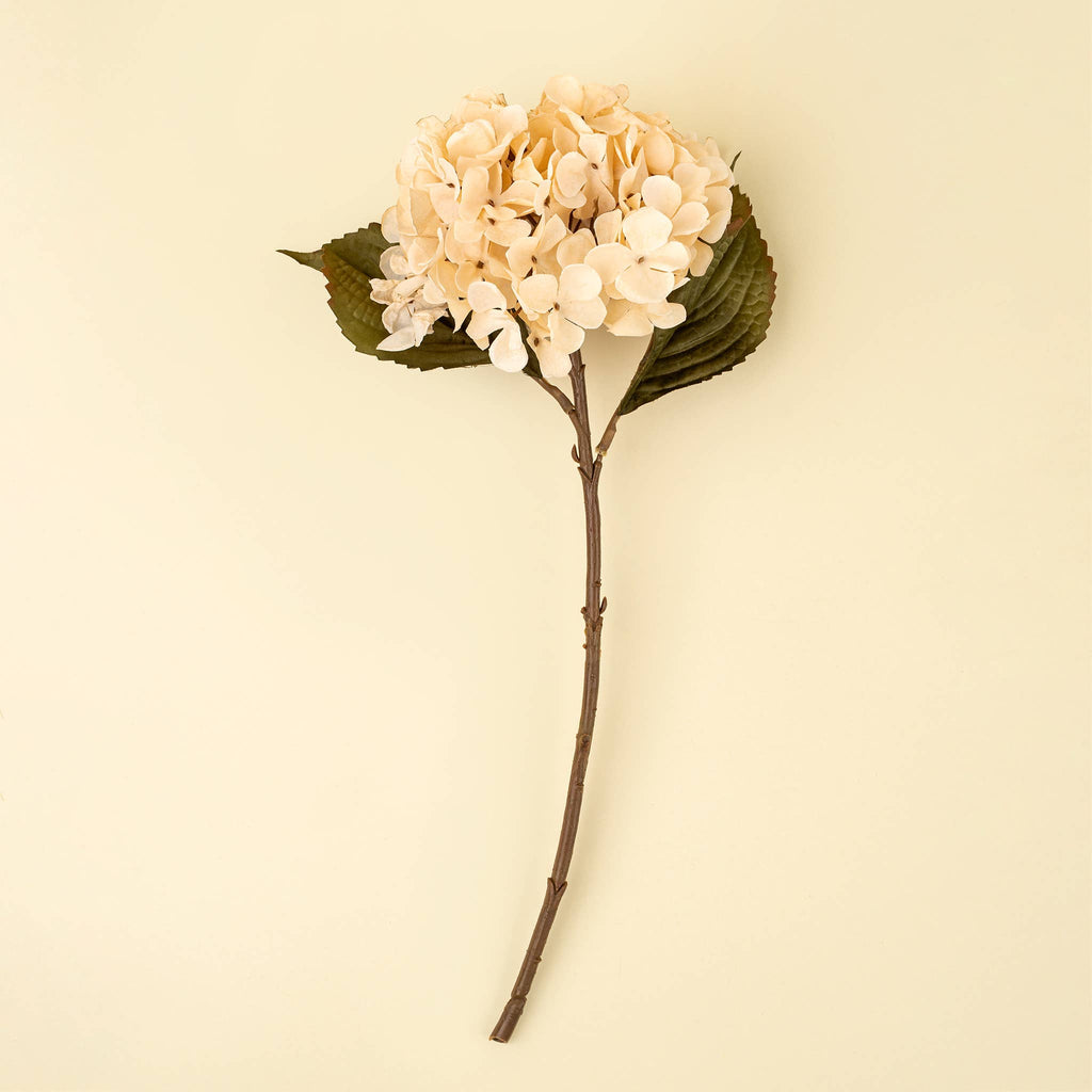 Cream Hydrangea Floral Stem