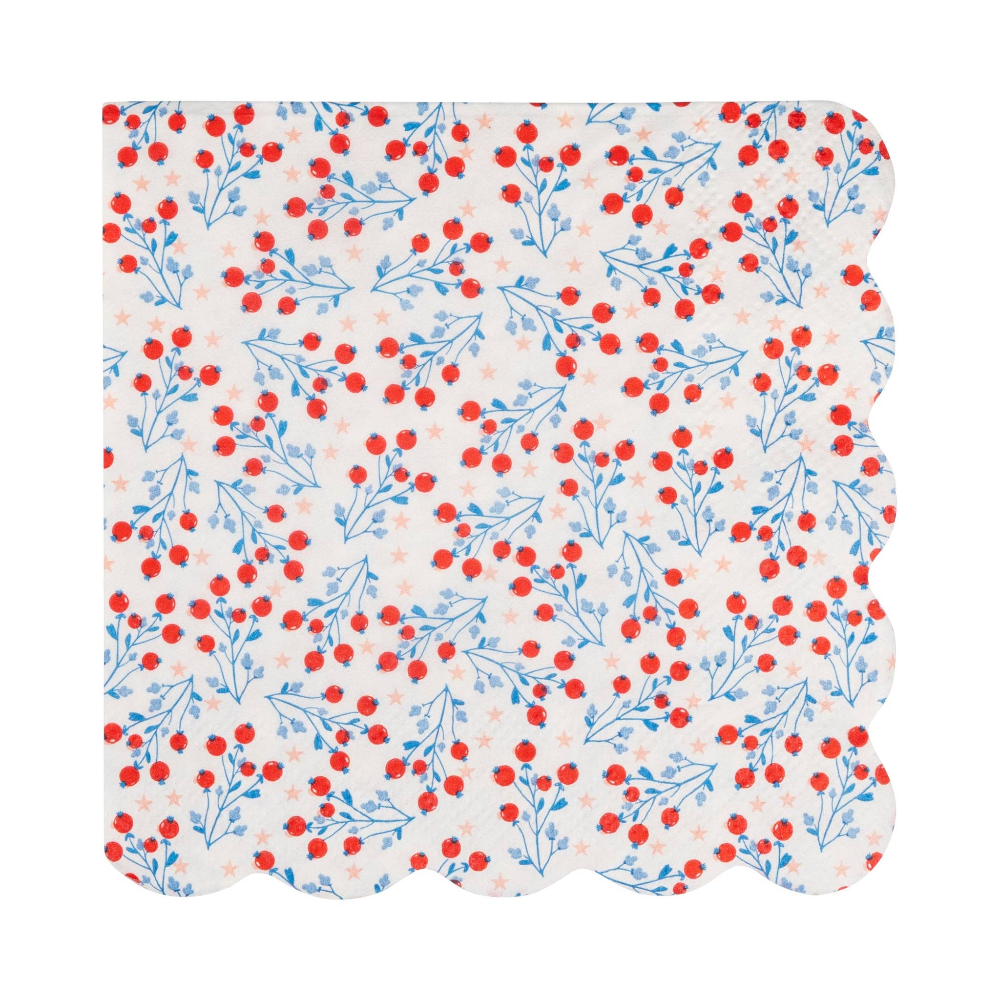 Assorted Floral Paper Cocktail Napkin Set