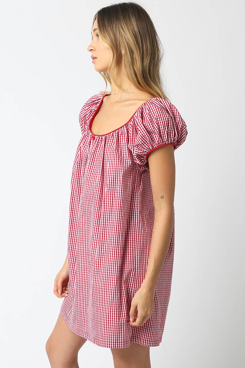 Harper Gingham Mini Dress