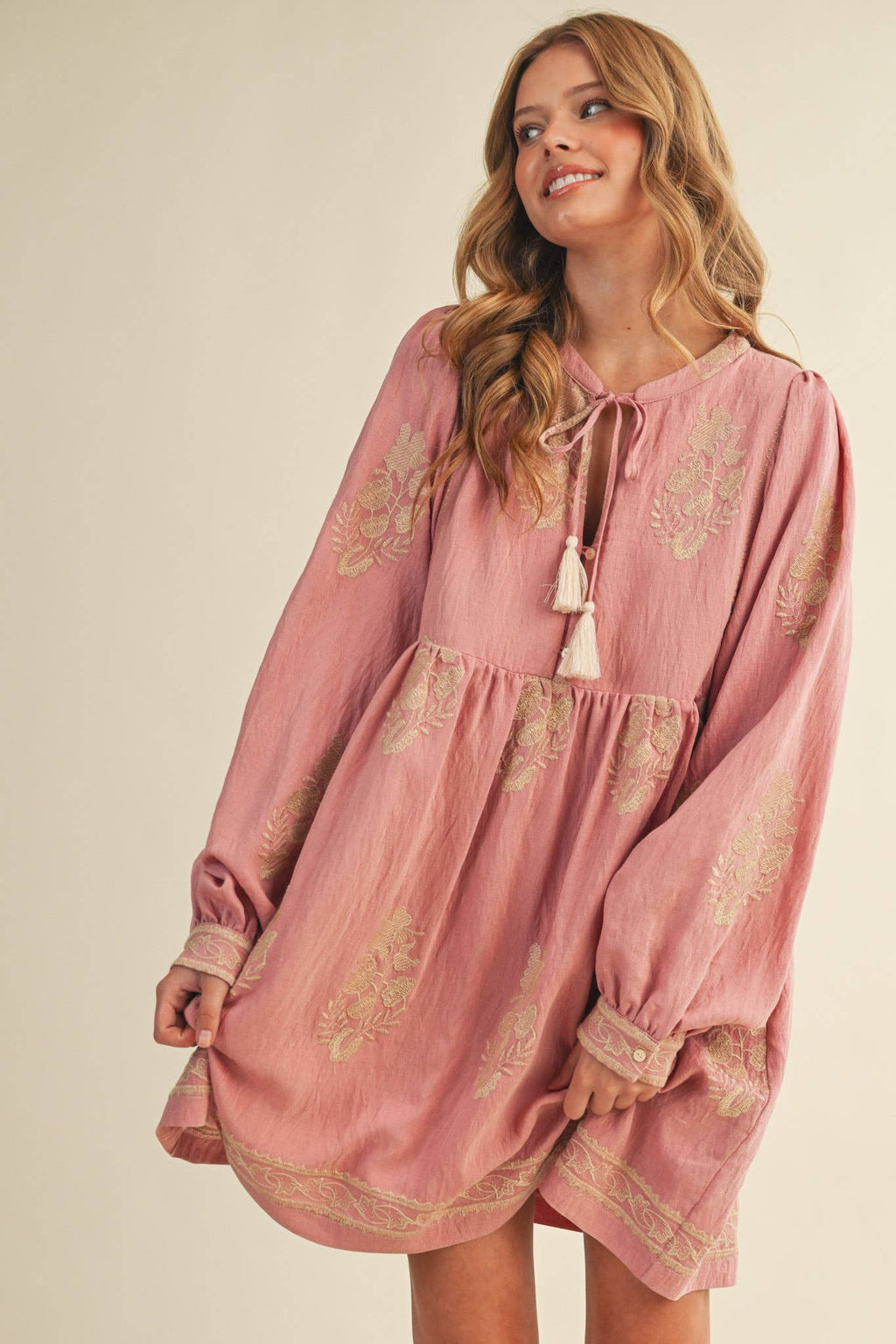 Embroidered Long Puff Sleeve Mini Dress