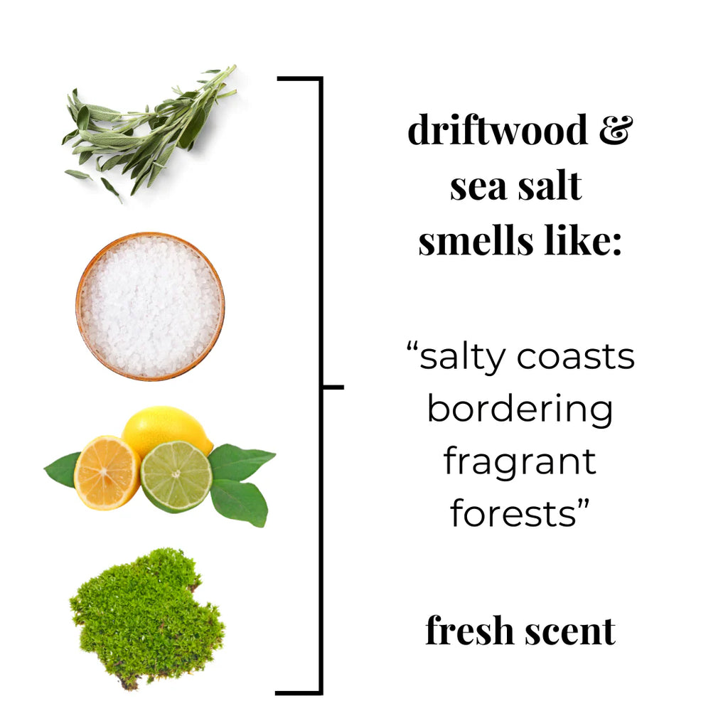 Driftwood Sea Salt Roll On Perfume