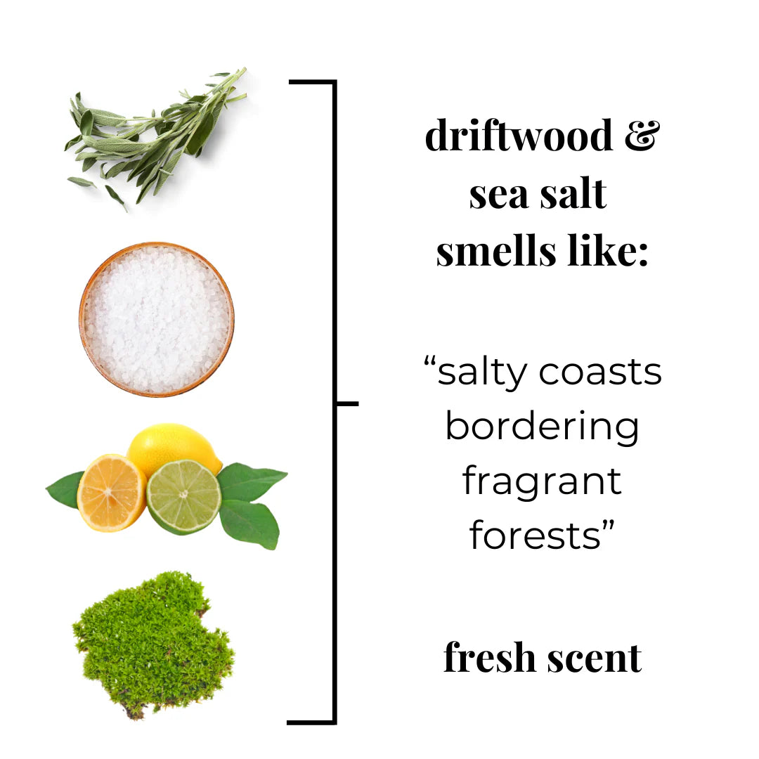 Driftwood Sea Salt Roll On Perfume