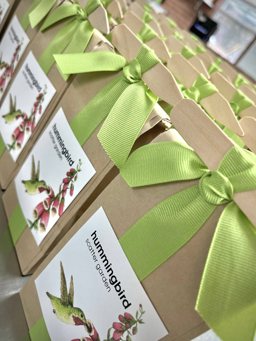 Hummingbird Scatter Garden Seeds