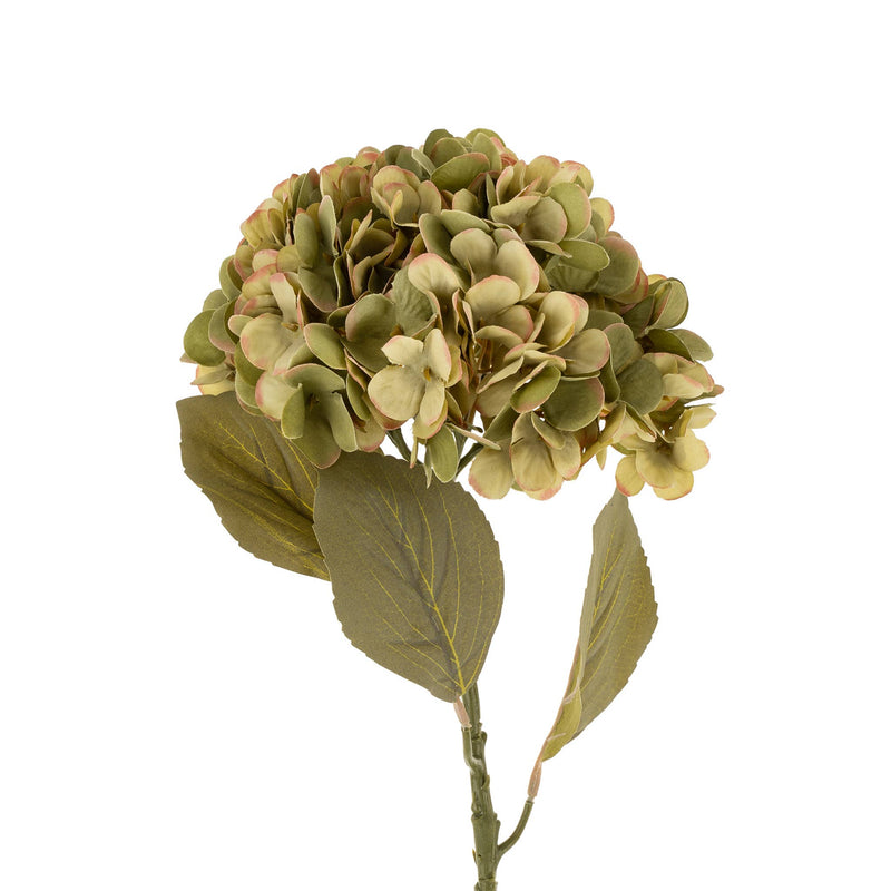 Faded Hydrangea Stem L, Green