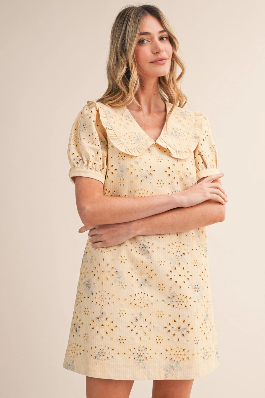 Floral Eyelet Striped Mini Dress