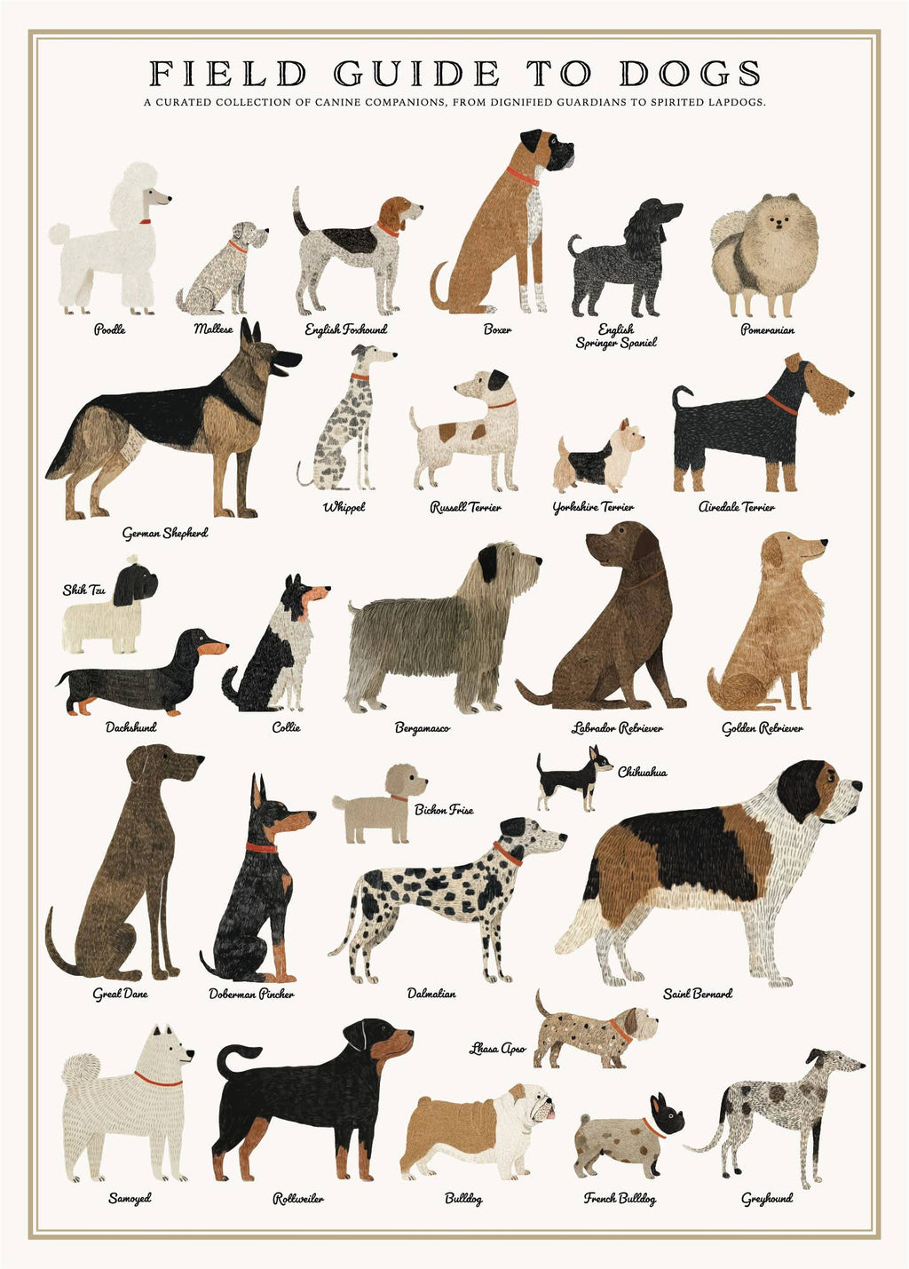 Dogs Puzzle