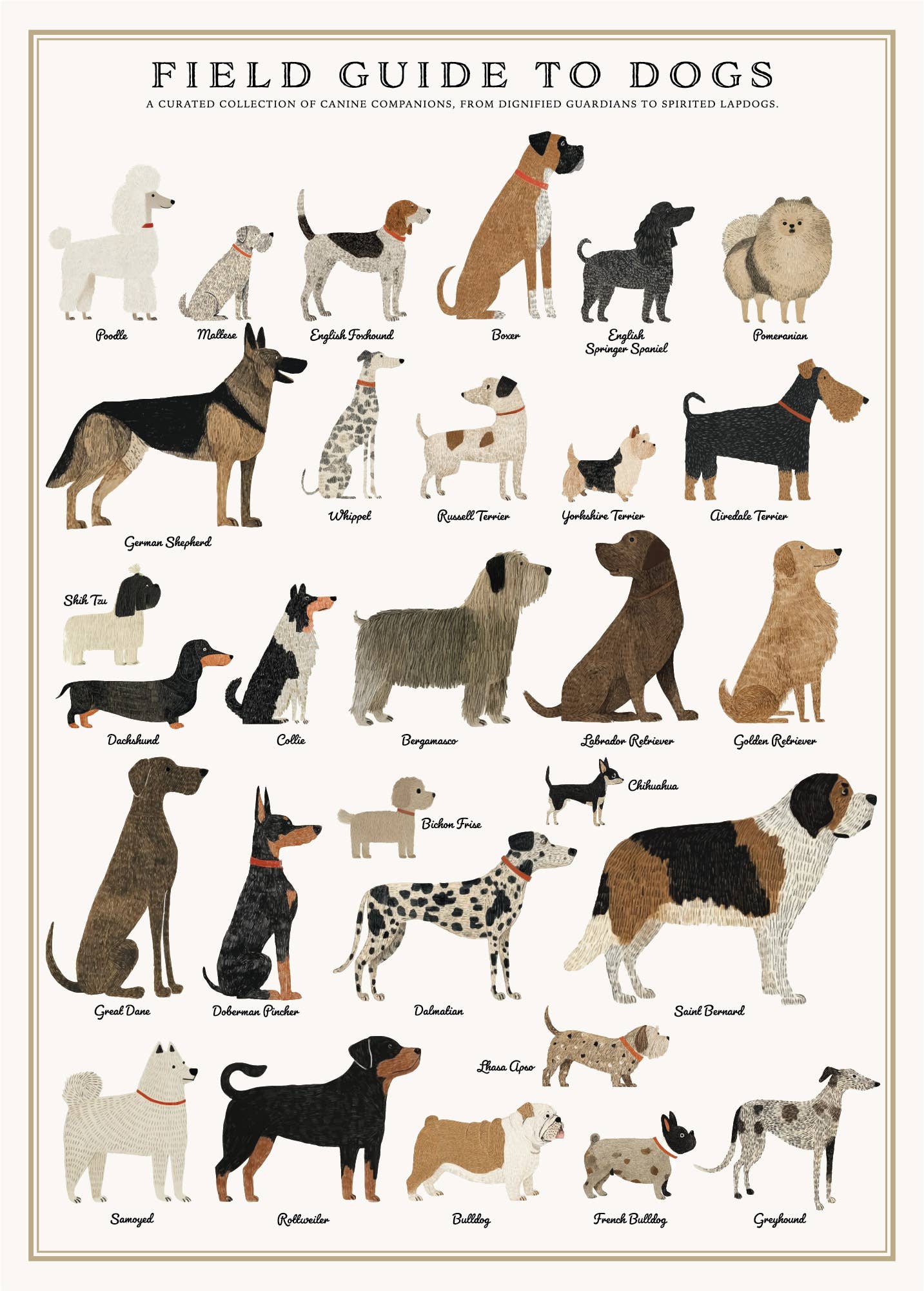 Dogs Puzzle