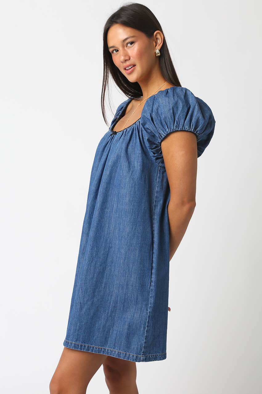 Sasha Denim Babydoll Dress