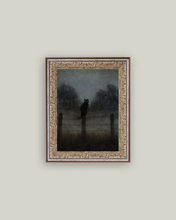 Black Cat in Night Framed Antique Art