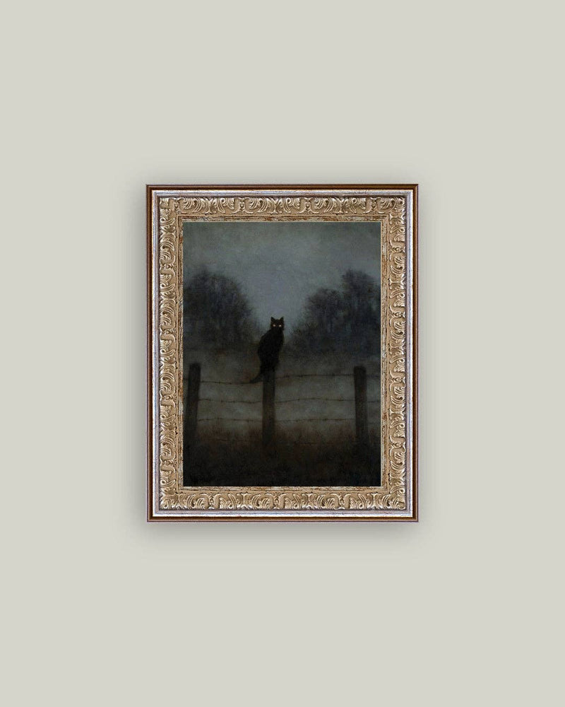 Black Cat in Night Framed Antique Art