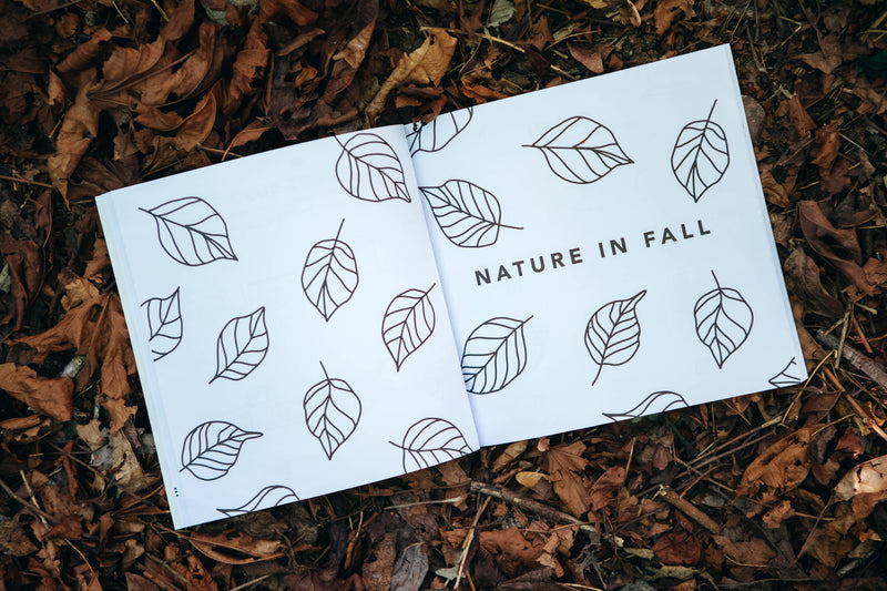 Fall Things: How to Draw Books for Kids