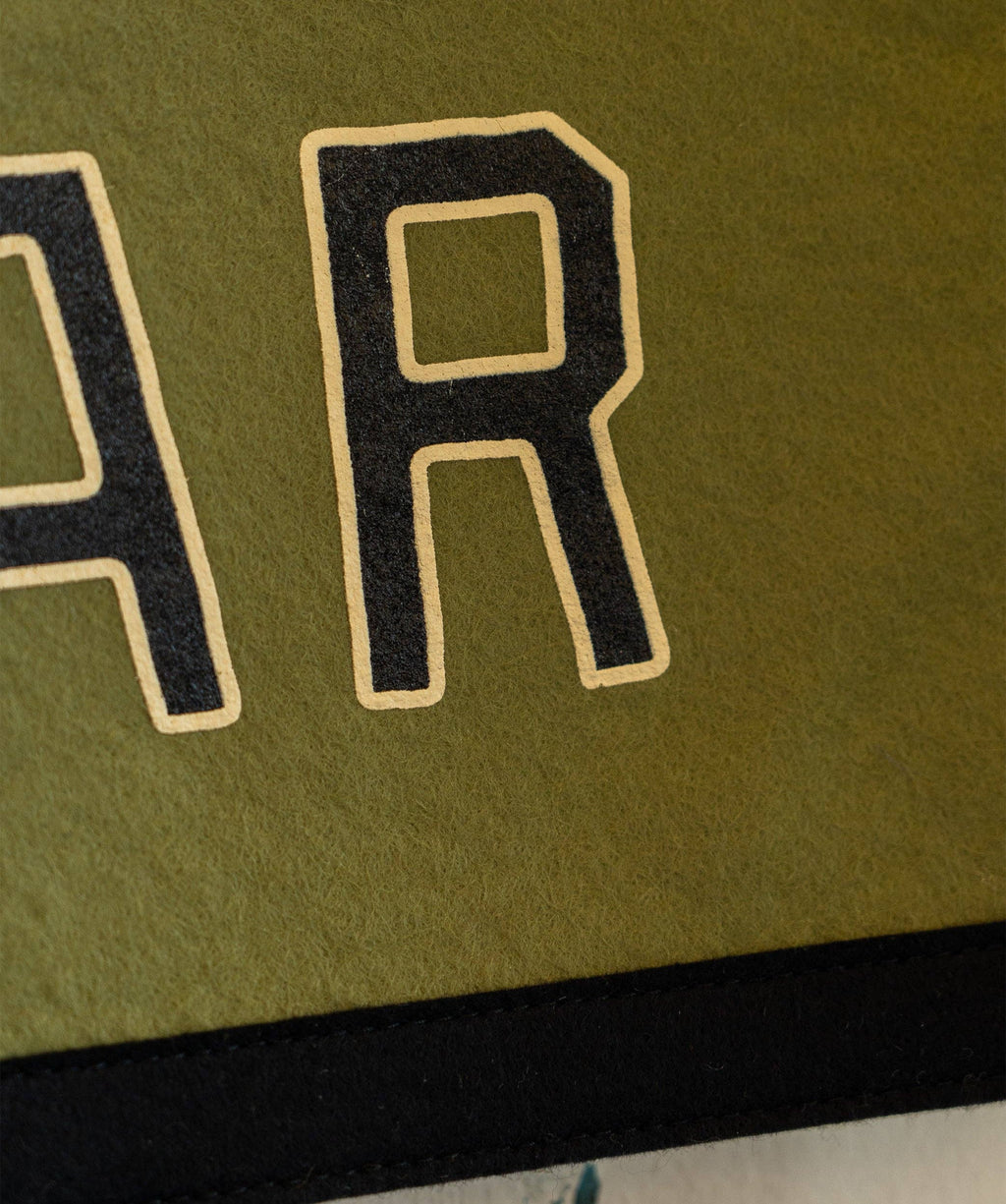 It's Gonna Be My Year Flag (All Time Low x Oxford)