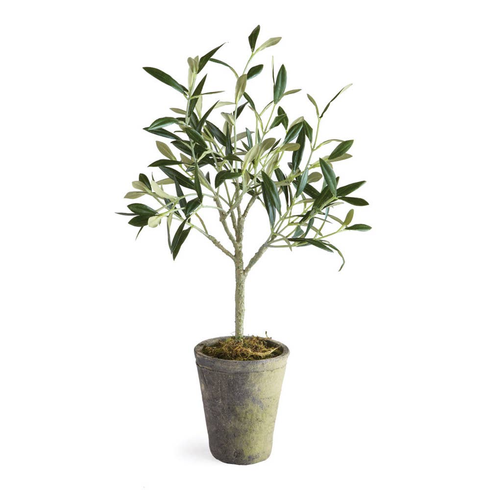 Faux Potted Olive Tree