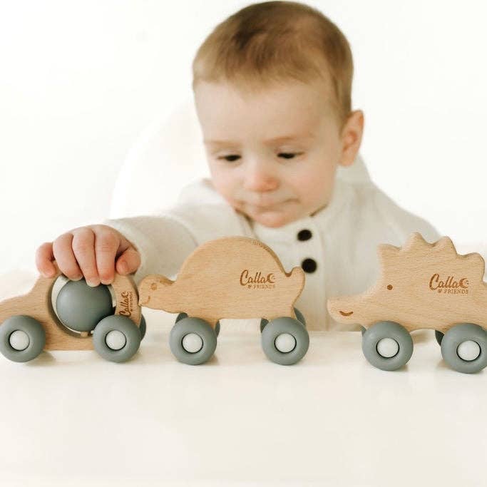 Car Silicone & Beechwood Teether Toy