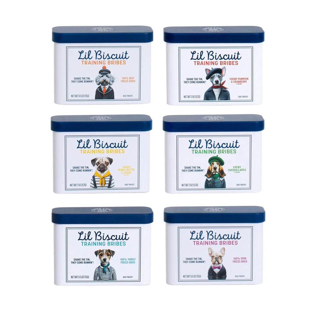 Mini Training Tin